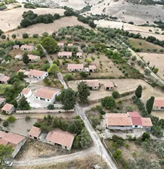 Foto annuncio 7