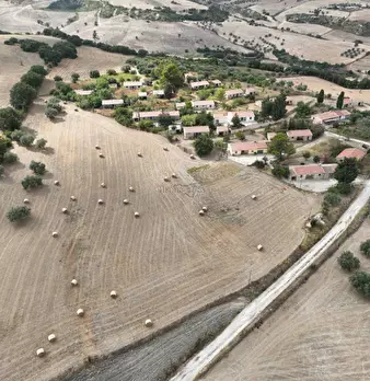Foto annuncio 12