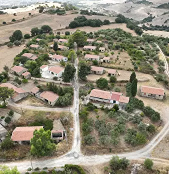 Foto annuncio 16