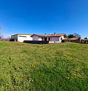 Foto annuncio 38