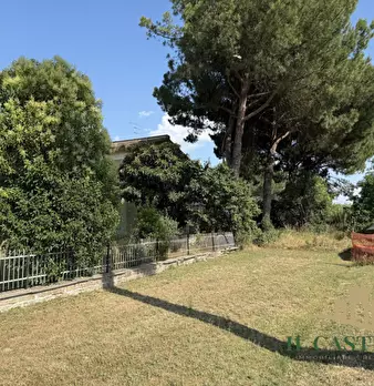 Foto annuncio 6
