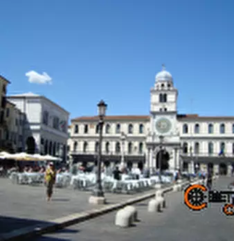 Foto annuncio 10