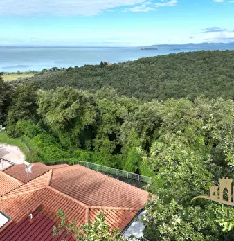 Foto annuncio 35