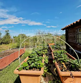 Foto annuncio 60