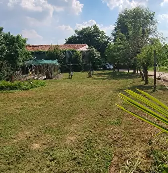 Foto annuncio 1