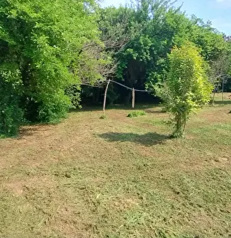 Foto annuncio 5