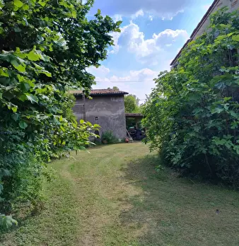 Foto annuncio 9
