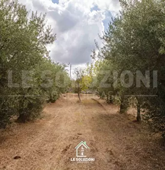 Foto annuncio 29