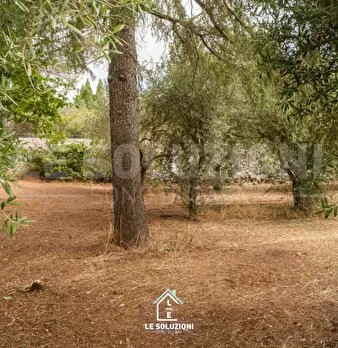 Foto annuncio 30