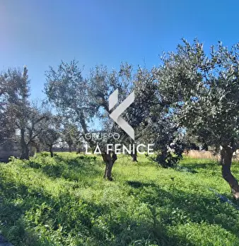 Foto annuncio 16