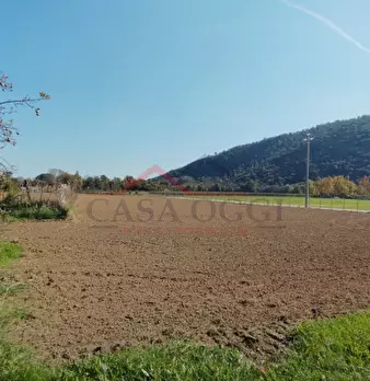 Foto annuncio 4