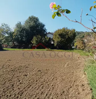 Foto annuncio 10