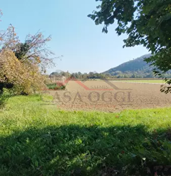 Foto annuncio 12