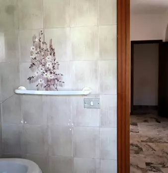 Foto annuncio 11