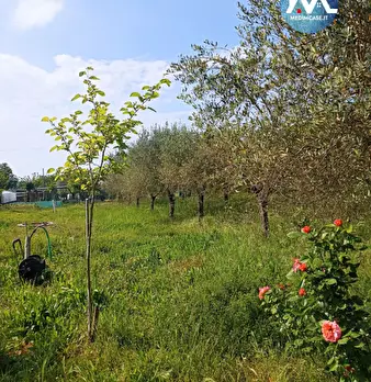 Foto annuncio 5