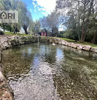 Foto annuncio 11