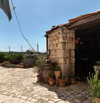 Foto annuncio 25