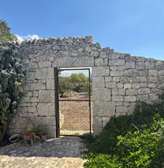 Foto annuncio 49