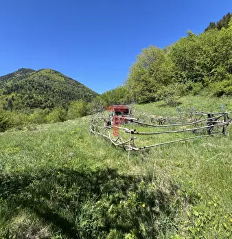 Foto annuncio 6