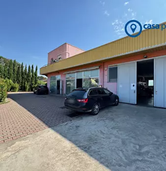 Foto annuncio 17