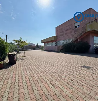 Foto annuncio 21
