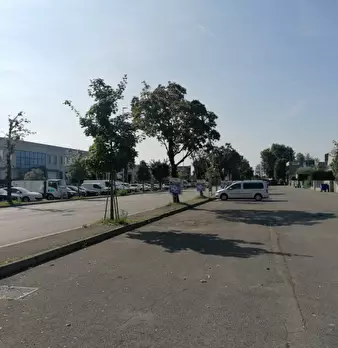 Foto annuncio 1