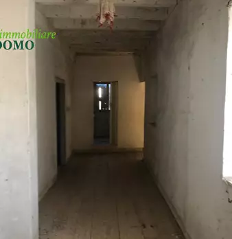 Foto annuncio 11
