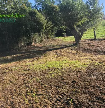 Foto annuncio 20