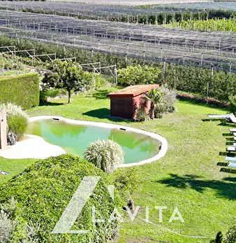 Foto annuncio 30