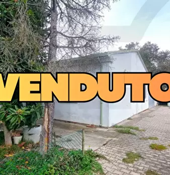 Foto annuncio 1
