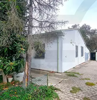 Foto annuncio 2