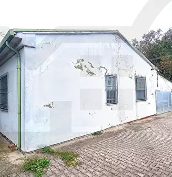 Foto annuncio 17