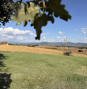Foto annuncio 37