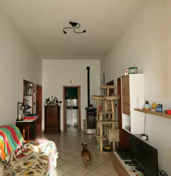 Foto annuncio 1