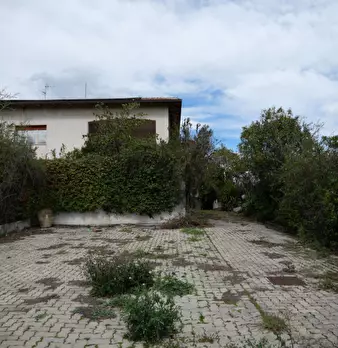 Foto annuncio 8