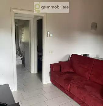 Foto annuncio 7