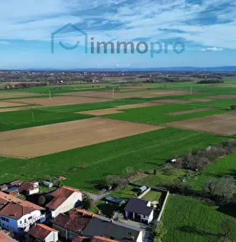 Foto annuncio 77