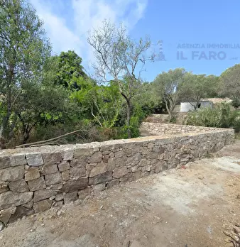 Foto annuncio 22