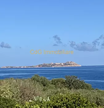 Foto annuncio 33