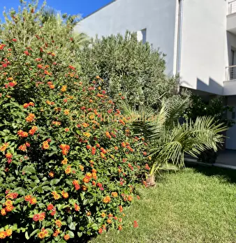 Foto annuncio 43
