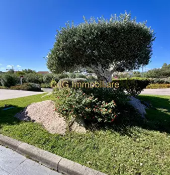 Foto annuncio 52