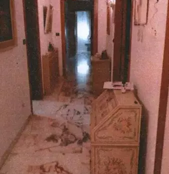 Foto annuncio 5