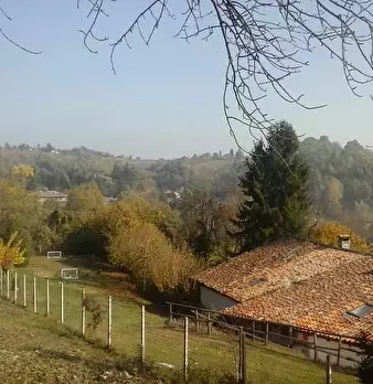 Foto annuncio 1