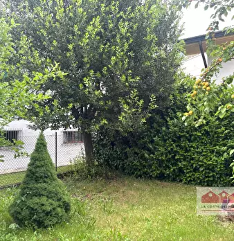 Foto annuncio 4