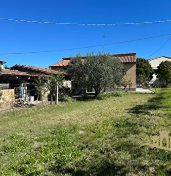 Foto annuncio 18