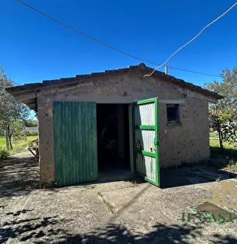 Foto annuncio 19