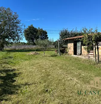 Foto annuncio 21