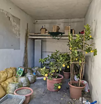 Foto annuncio 31
