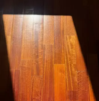 Foto annuncio 12