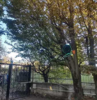 Foto annuncio 11